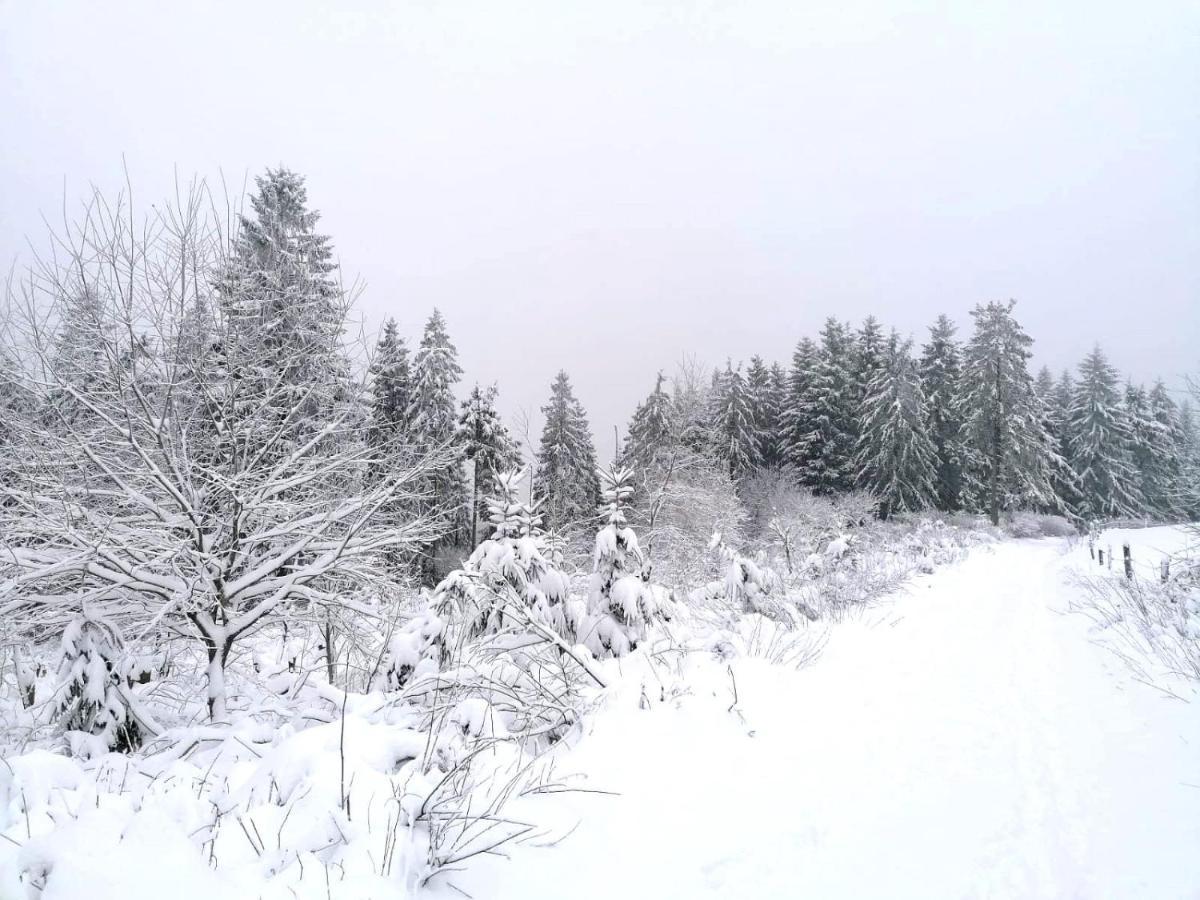 Bed and Breakfast Haus Berchstein Winterberg Exterior foto